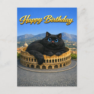 Carte Postale Drôle Gros Chat Noir Colisée Romain Joyeux Anniver