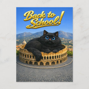 Carte Postale Drôle Gros Chat Noir Colisée Romain Retour à l'éco
