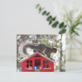 Carte Postale drôle immobilier cramponné maison d'écureuil vivan (Debout devant)