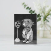 Carte Postale Drôle JACK RUSSELL Terrier chien jouant banjo (Debout devant)