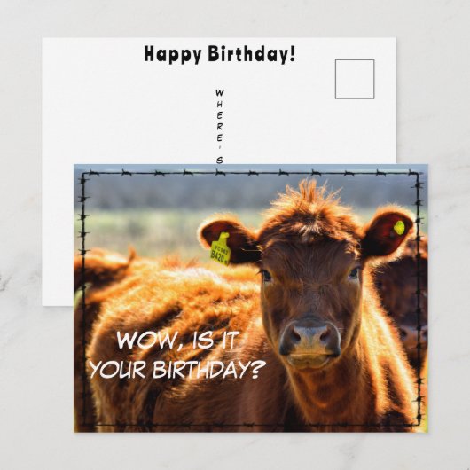 Carte Postale Drôle Joyeux Anniversaire Courrier De La Ferme De  (Devant / Derrière)