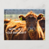 Carte Postale Drôle Joyeux Anniversaire Courrier De La Ferme De  (Devant)