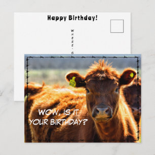 Carte Postale Drôle Joyeux Anniversaire Ferme de Campagne Courri