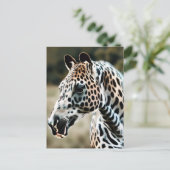 Carte Postale Drôle Leopard Appaloosa Horse (Debout devant)
