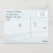 Carte Postale Drôle Merci des pingouins (Dos)