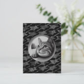 Carte Postale Drôle mignon Chat Cool Quoi de neuf Animaux Bonjou (Debout devant)