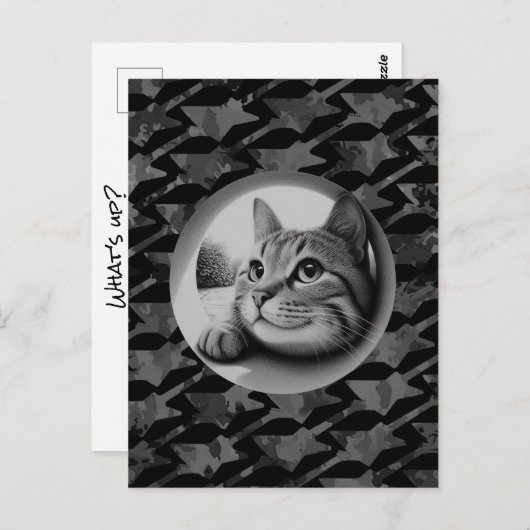 Carte Postale Drôle mignon Chat Cool Quoi de neuf Animaux Bonjou (Devant / Derrière)