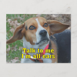 Carte Postale Drôle Parle-moi Je suis Beagle de tous les oreille