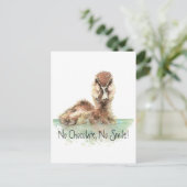 Carte Postale Drôle, Pas De Chocolat, Pas De Sourire, Canard En  (Debout devant)