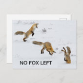 Carte Postale Drôle "Pas de Fox à gauche" (Devant / Derrière)