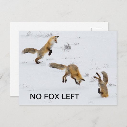 Carte Postale Drôle "Pas de Fox à gauche" (Devant / Derrière)