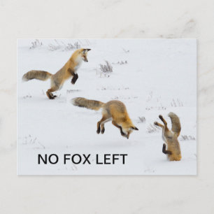 Carte Postale Drôle "Pas de Fox à gauche"