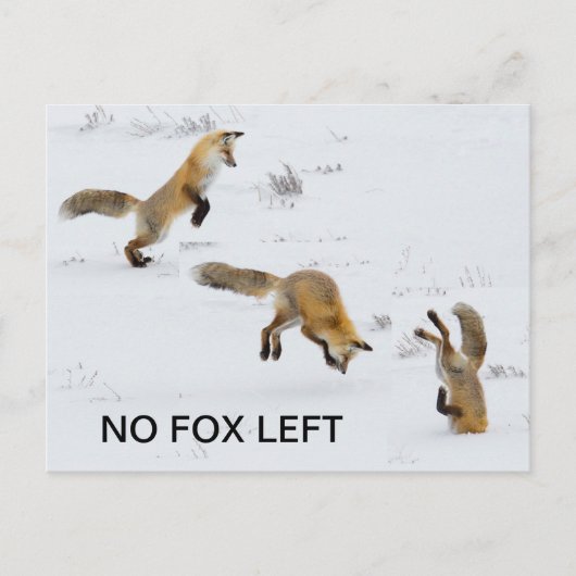 Carte Postale Drôle "Pas de Fox à gauche" (Devant)