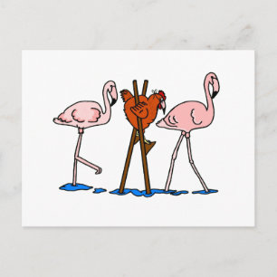 Carte Postale Drôle poulet et Flamants roses