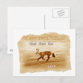 Carte Postale drôle que dit le renard (Devant / Derrière)