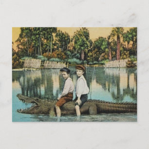 Carte postale drôle Ride'um Gator