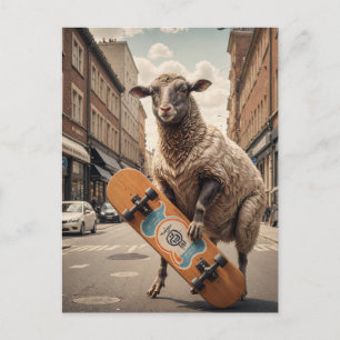 Carte Postale Drôle Skateboard Sheep sur une rue de la ville