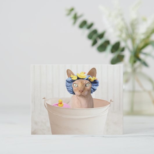 Carte Postale Drôle Sphynx Chat Dans Une Baignoire (Debout devant)