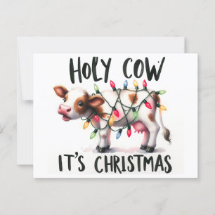 Carte Postale Drôle Vache de Noël Vache sainte C'est Noël