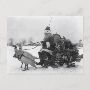 Carte Postale Drôle Vintage Père Noël Turquie Sleigh