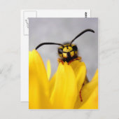 Carte postale Drôle Wasp (Devant / Derrière)