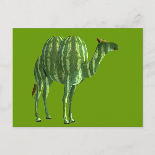 Carte Postale Dromedale de la journée nationale de la pastèque (Devant)