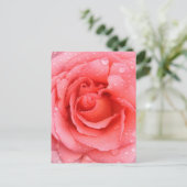 Carte Postale Drops d'eau rose romantique (Debout devant)