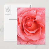 Carte Postale Drops d'eau rose romantique (Devant / Derrière)