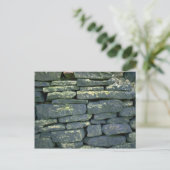 Carte Postale Dry stone wall (Debout devant)