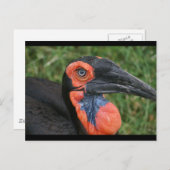 CARTE POSTALE DSC00171 (Devant / Derrière)