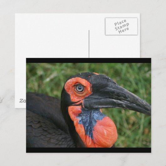 CARTE POSTALE DSC00171 (Devant / Derrière)