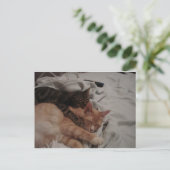 Carte Postale dsc00178[1] (2) (Debout devant)