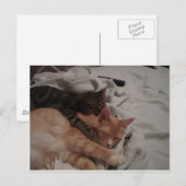 Carte Postale dsc00178[1] (2) (Devant / Derrière)