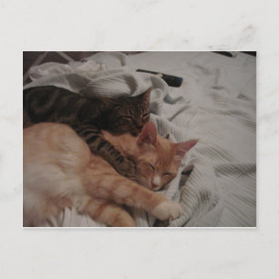 Carte Postale dsc00178[1] (2)