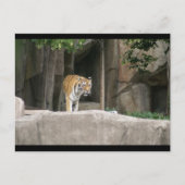 CARTE POSTALE DSC00222 (Devant)