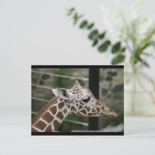 CARTE POSTALE DSC00238 (Debout devant)