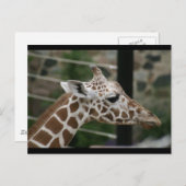 CARTE POSTALE DSC00238 (Devant / Derrière)