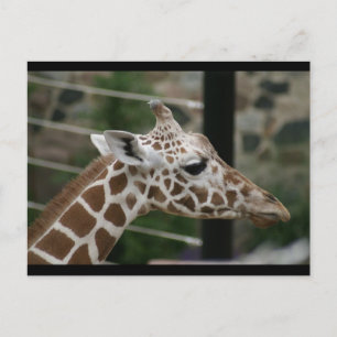 CARTE POSTALE DSC00238