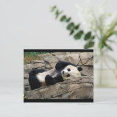 Carte Postale DSC01647 a (Debout devant)