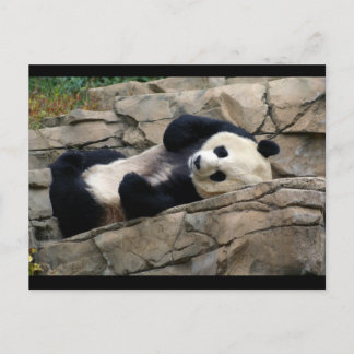 Carte Postale DSC01647 a