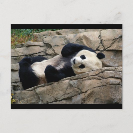 Carte Postale DSC01647 a (Devant)