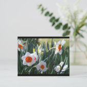 Carte Postale DSC01730 a (Debout devant)