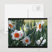 Carte Postale DSC01730 a (Devant / Derrière)