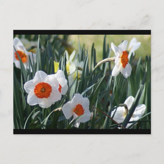 Carte Postale DSC01730 a (Devant)