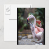 CARTE POSTALE DSC02490 (Devant / Derrière)