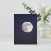 Carte Postale DSC03882 a (Debout devant)