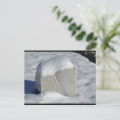 Carte Postale DSC04190 a (Debout devant)