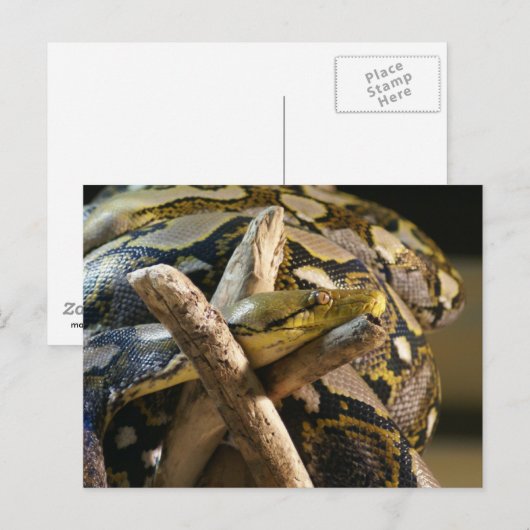 CARTE POSTALE DSC04222 (Devant / Derrière)