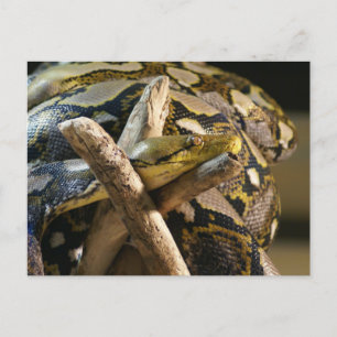 CARTE POSTALE DSC04222