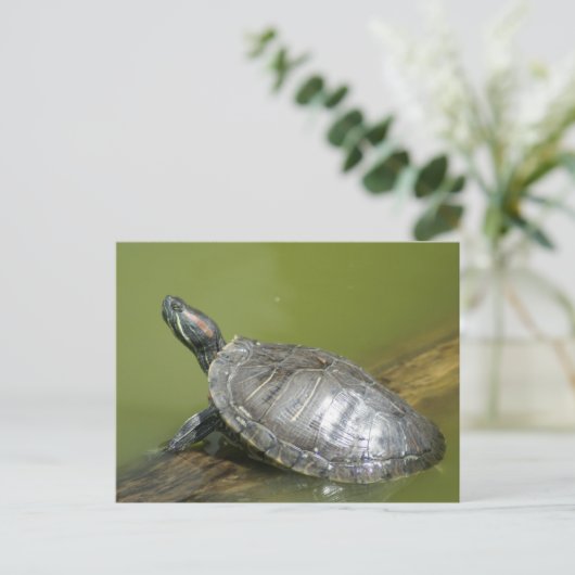 CARTE POSTALE DSC04275 (Debout devant)